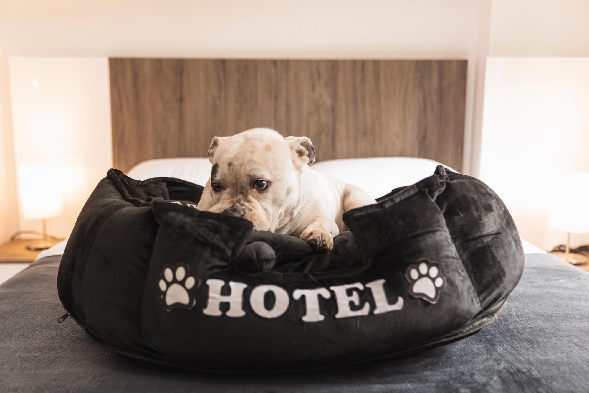 Hotel Boutique Bussines Center Cali Ngoại thất bức ảnh