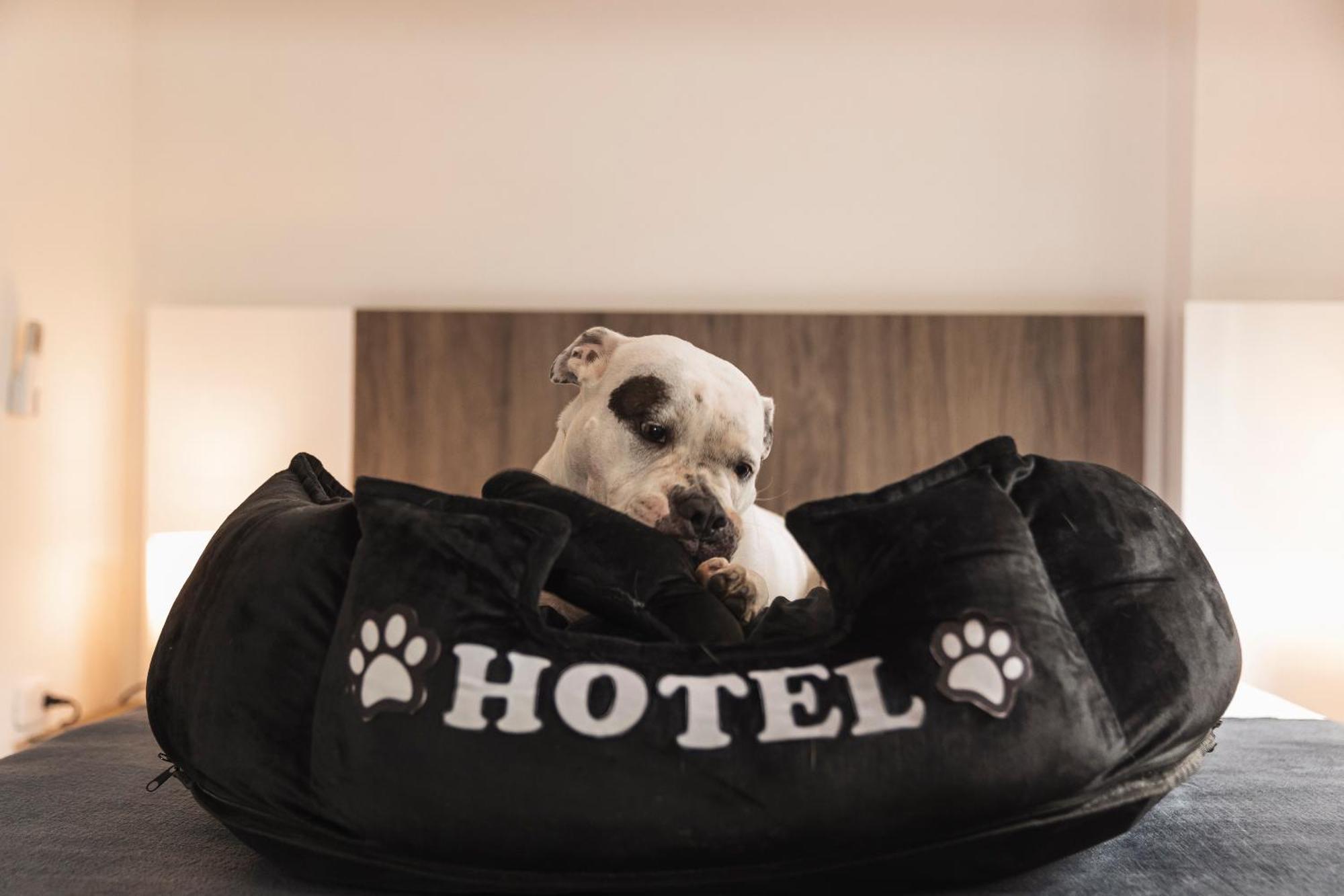 Hotel Boutique Business Center Cali Ngoại thất bức ảnh