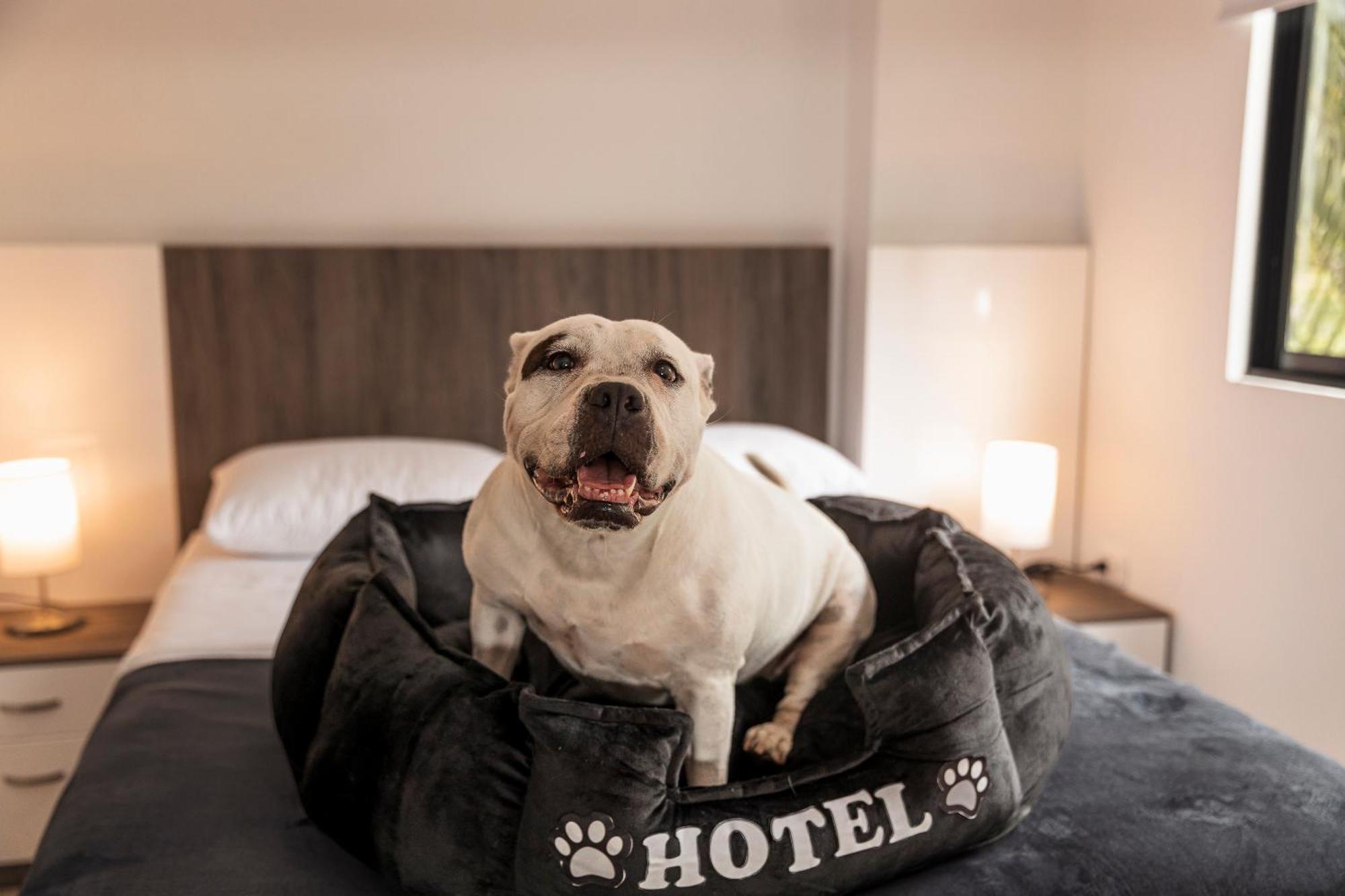 Hotel Boutique Business Center Cali Ngoại thất bức ảnh